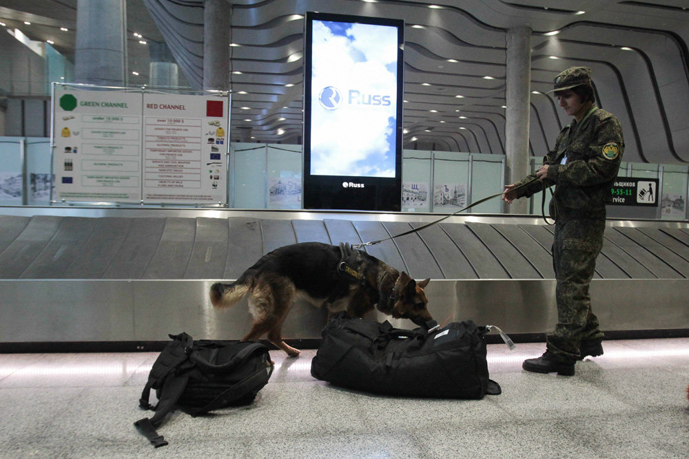 Сотрудники транспортной безопасности тоже смогут использовать служебных собак в своей работе. Фото: Анатолий Медведь/РГ